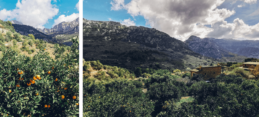 Photographie du paysage au cœur de la Serra de Tramuntana